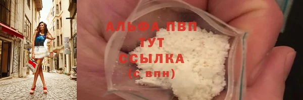 стаф Алексин
