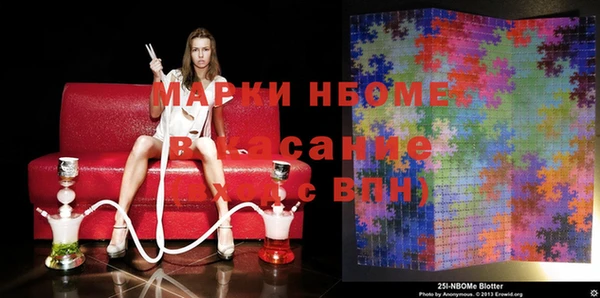 стаф Алексин