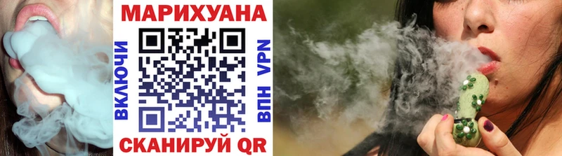 как найти закладки  Петропавловск-Камчатский  площадка состав  Марихуана Amnesia 